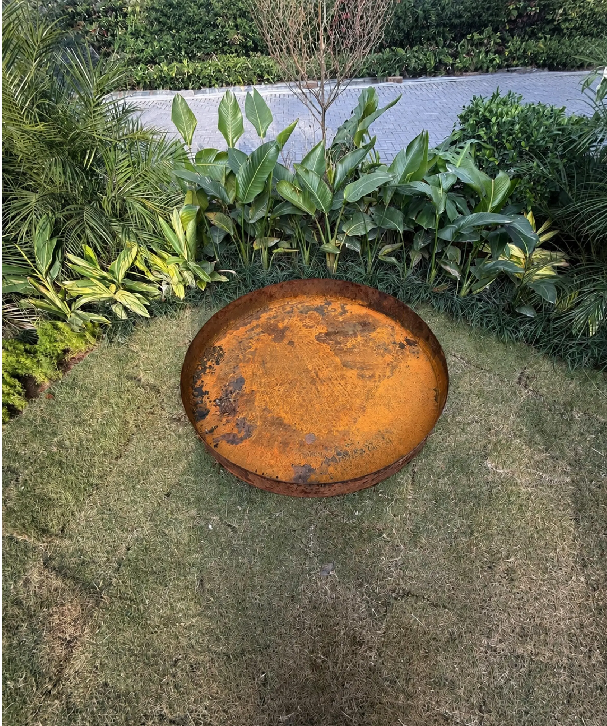 bird bath1